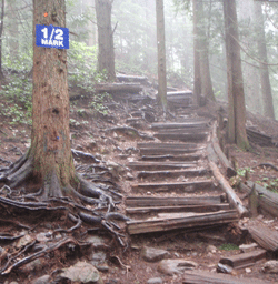 the grouse grind