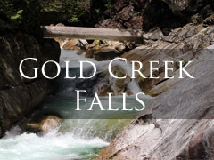 Gold Creek Falls Hike in Golden Ears Park Gold Creek Falls Hike in Golden Ears Park