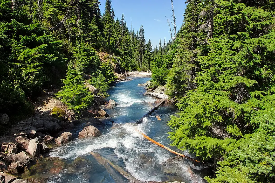 garibaldi lake trail