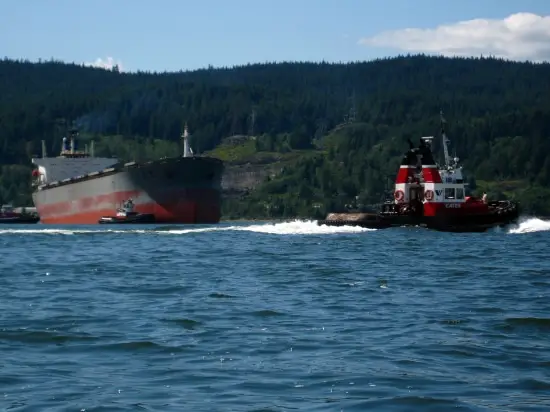 Rocky Point Kayak Tug Boat