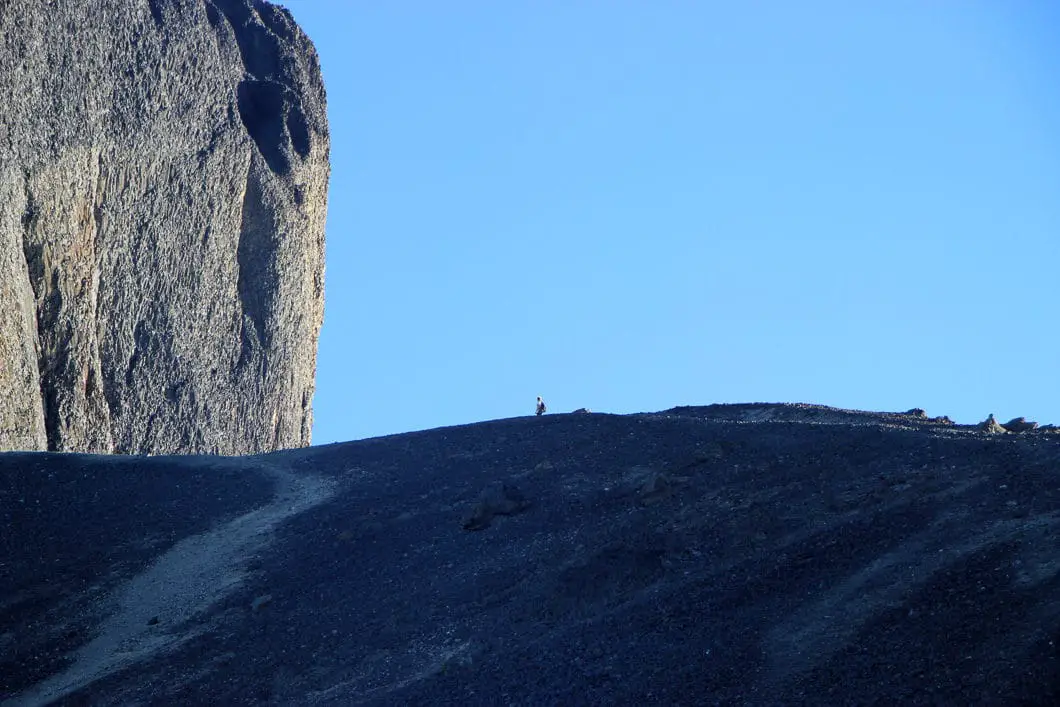 black tusk trail