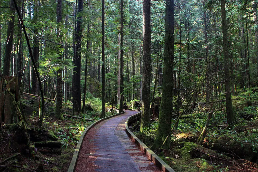 Rice Lake Trail