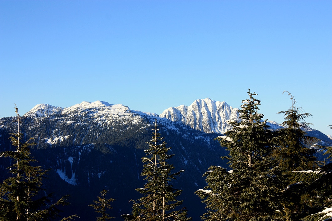 Dog Mountain Snowshoe Trail Guide Outdoor Vancouver