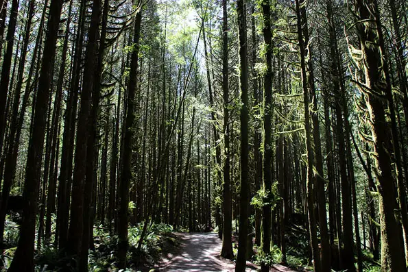 golden-ears-park