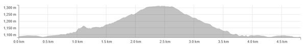 Snowshoe-Grind-Elevation