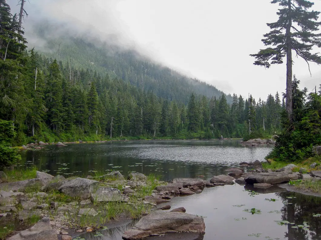 vicar lake