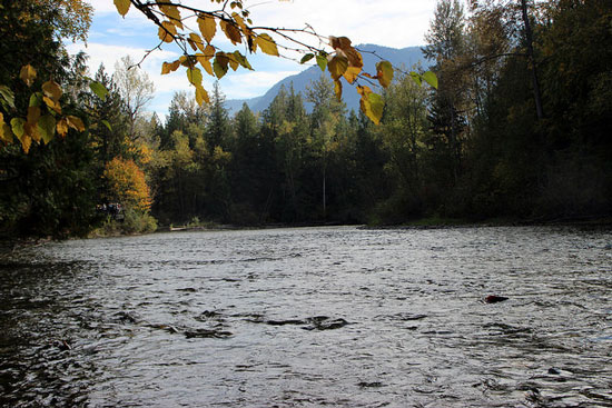Adams-River-BC