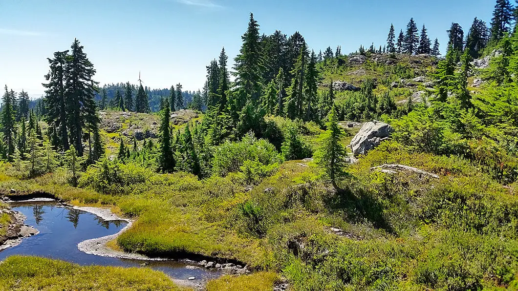 Goat Ridge Trail