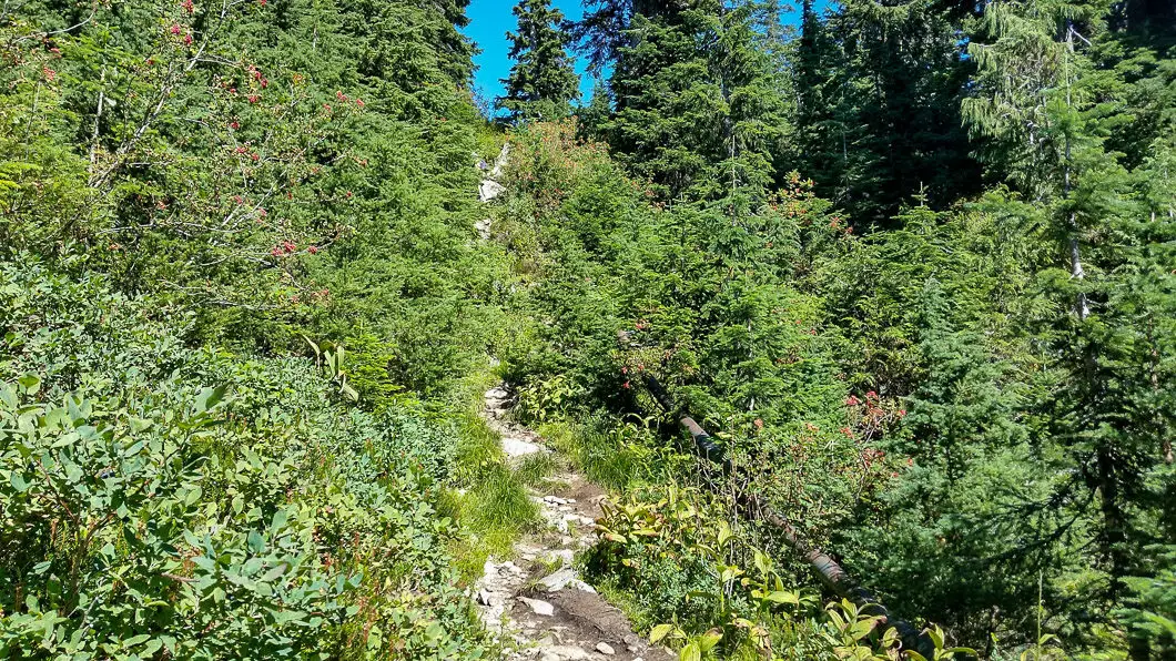 Dam Mountain trail