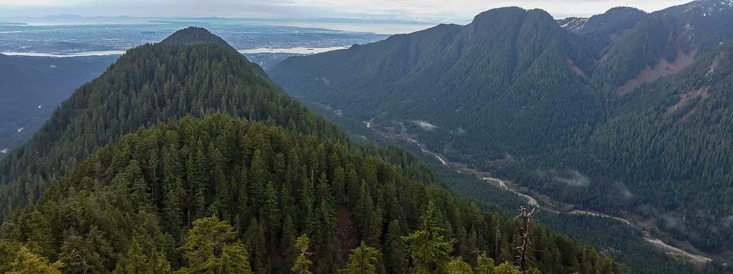 South Needle Hike in North Vancouver 4 South Needle view