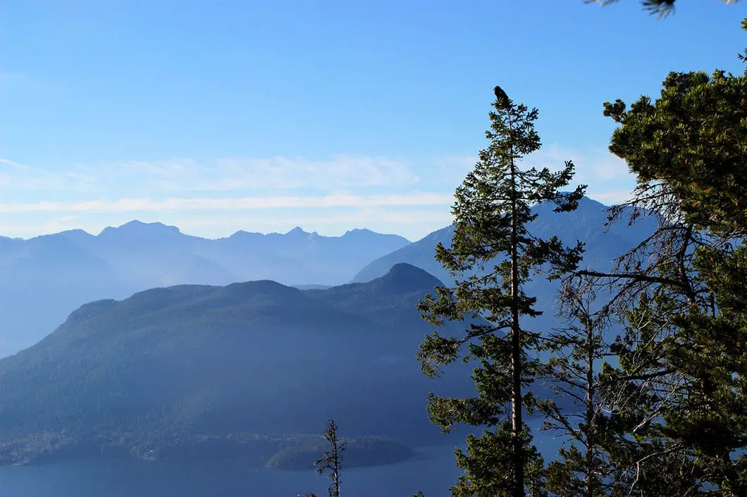 A raven on tunnel bluffs lookout