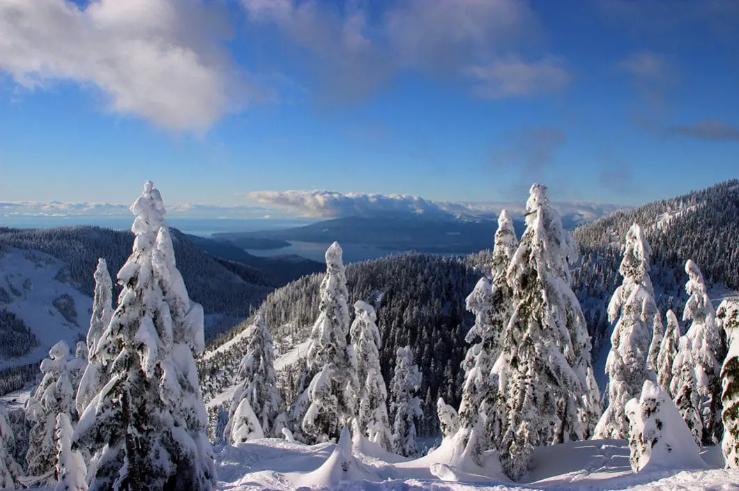 Hollyburn Peak Sumit