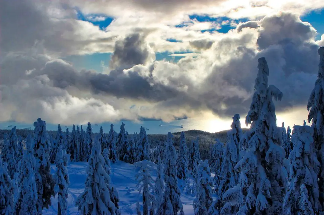 Hollyburn Peak Winter