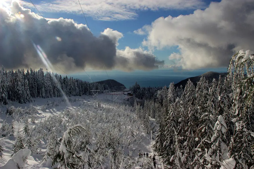 Hollyburn Peak Snowshoe Trail