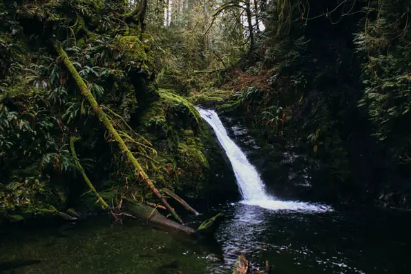 upper-goldstream-falls