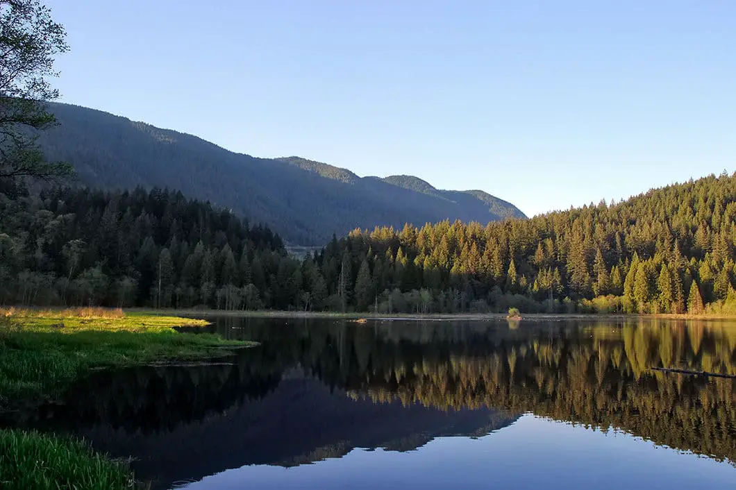 Minnekhada Park marsh