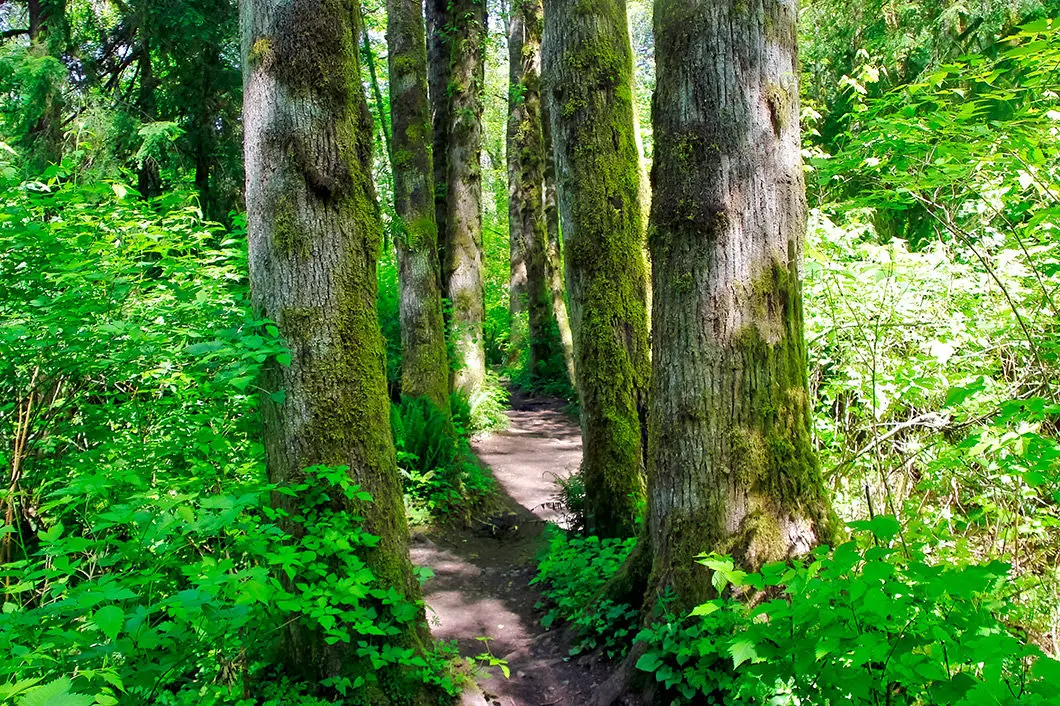 crystal falls trail