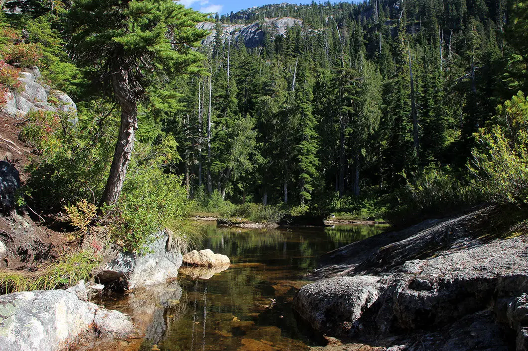 Neverland Lake