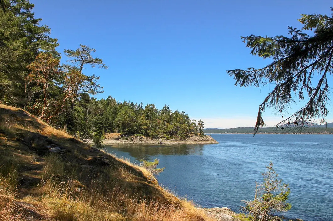 Yeo Point Hike on Salt Spring Island 4 Yeo Point Trail