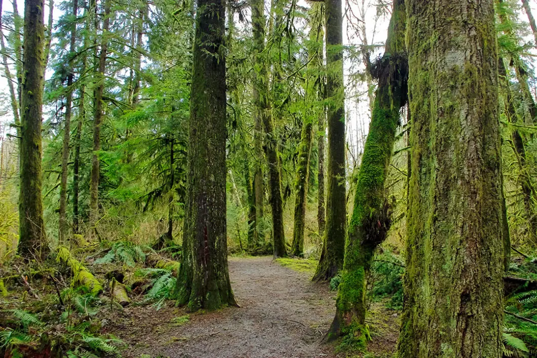 kanaka creek pathway