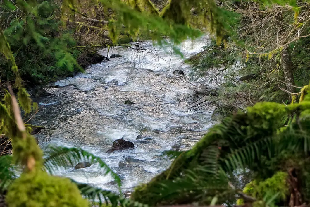 kanaka creek