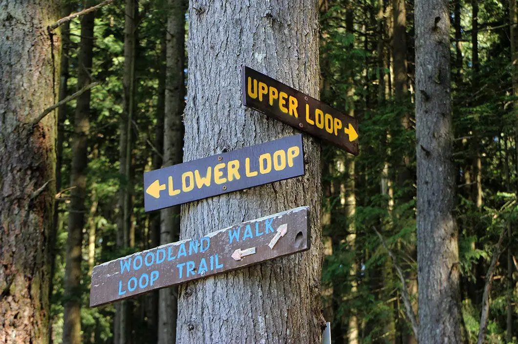 Woodland Walk Loop Trail | Sawblade Falls Hike in Coquitlam