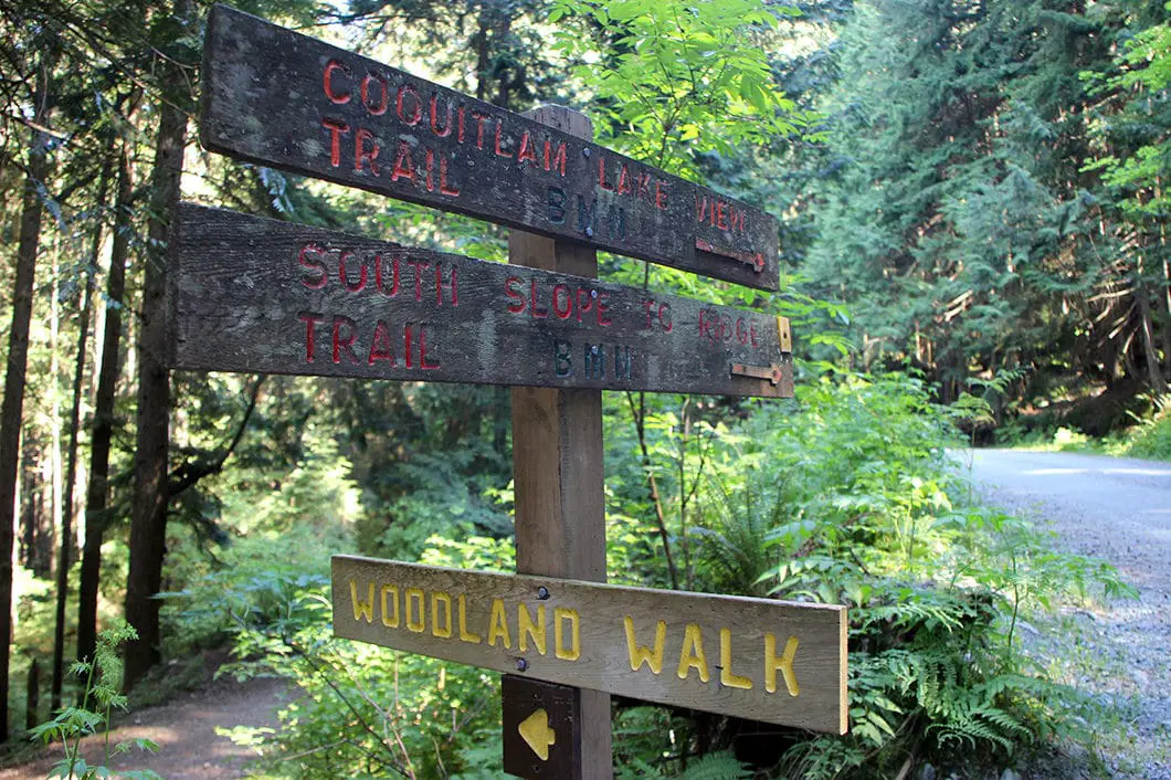 woodland walk trail | Sawblade Falls Hike in Coquitlam