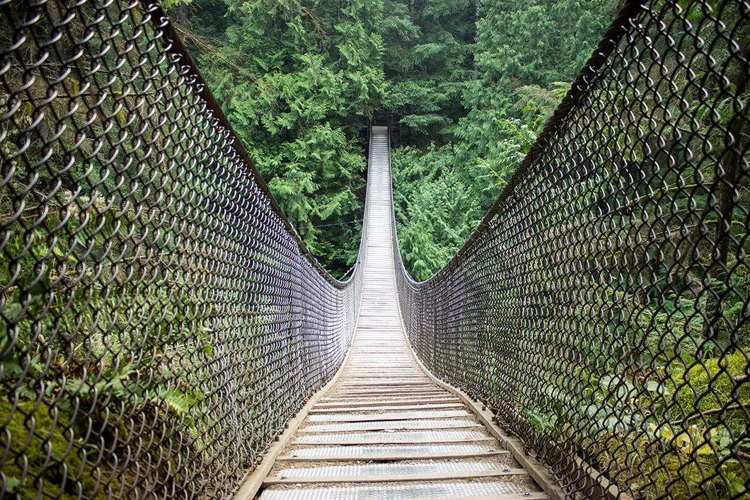 The Lynn Canyon Suspension Bridge