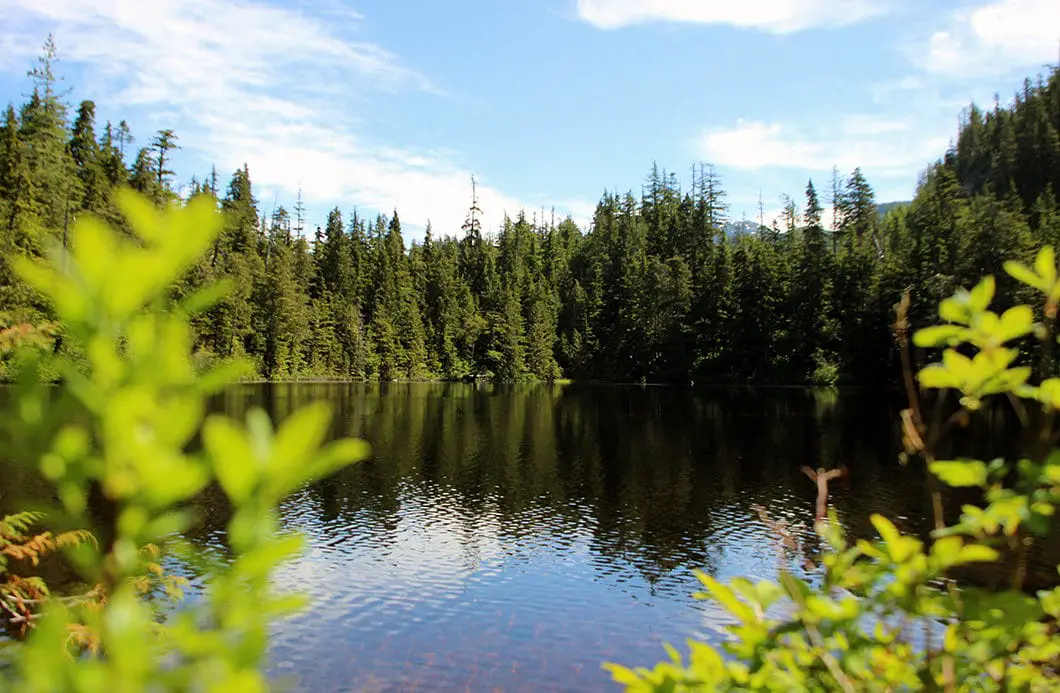 Petgill Lake