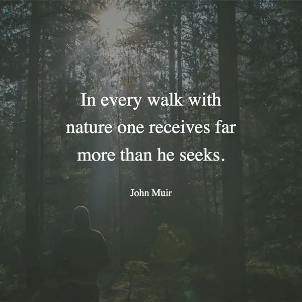 Quote 46 | 60 Inspirational Quotes That Will Make You Want To Go Hiking