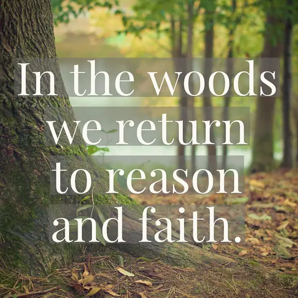 Quote 64 | 60 Inspirational Quotes That Will Make You Want To Go Hiking
