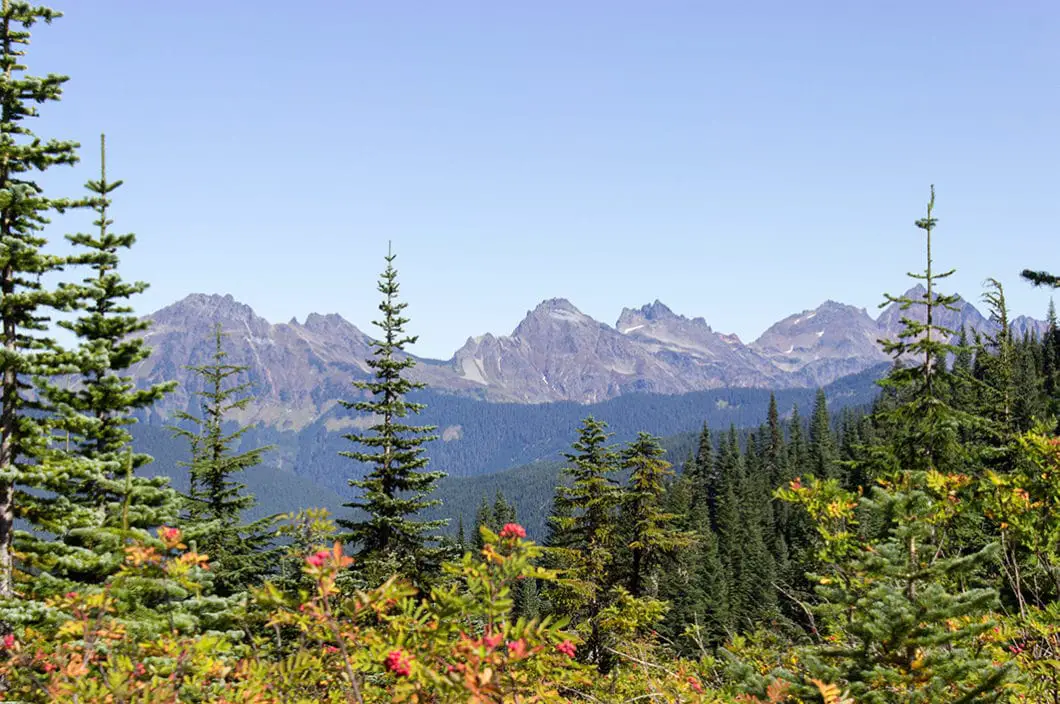 mount thurston trail