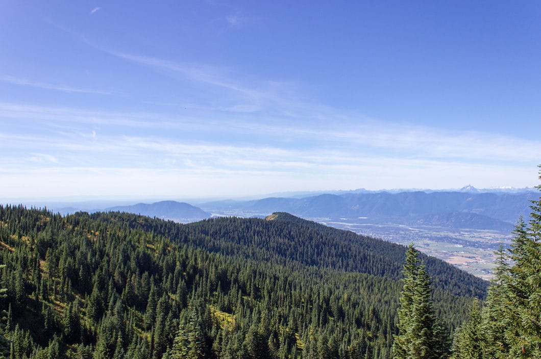View from Mount Thurston