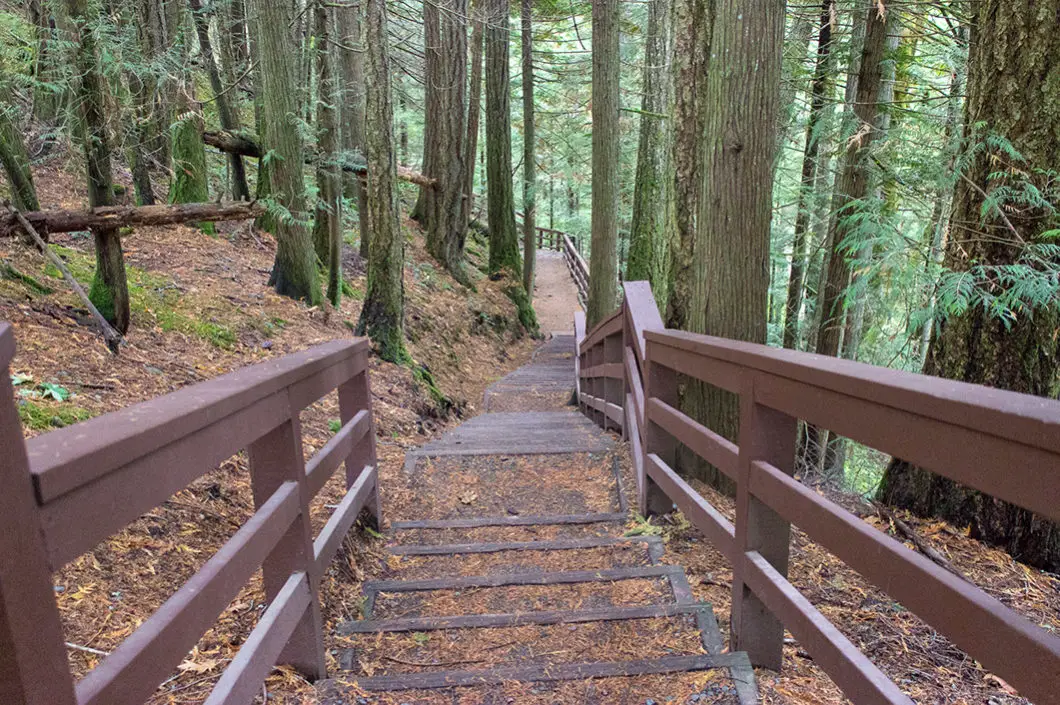 Stairway to waterfall