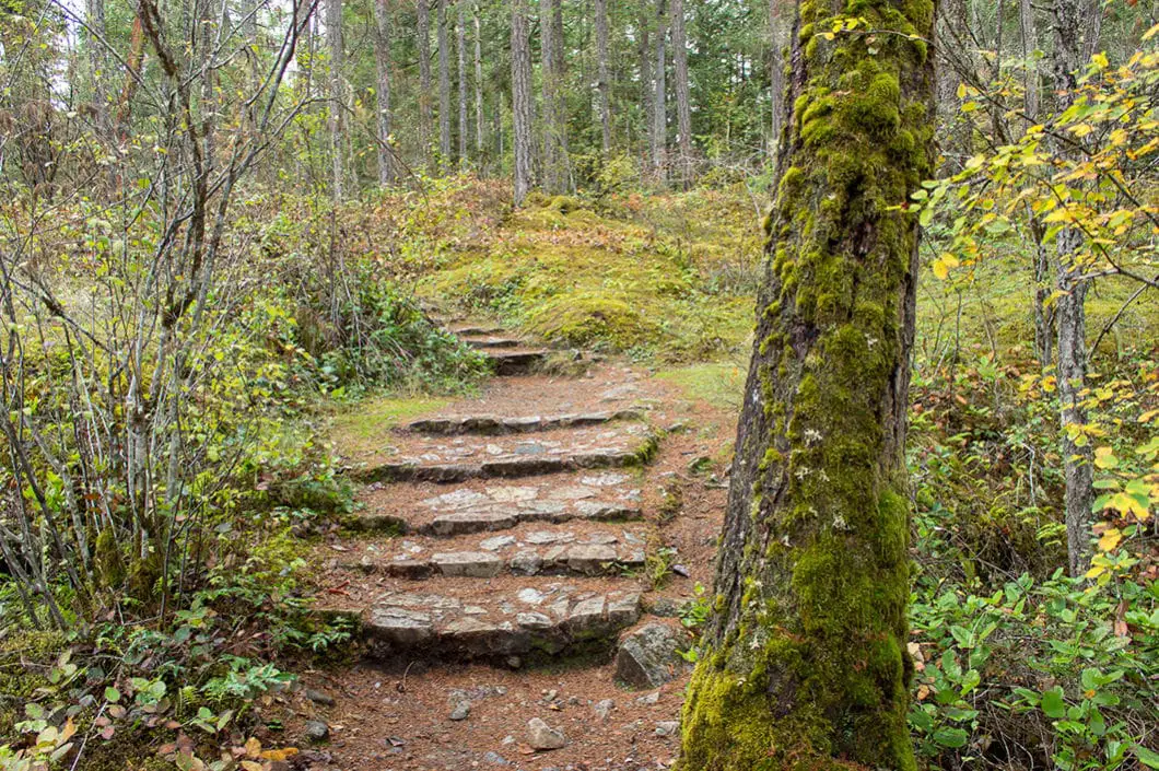 Qualicum Falls Trail