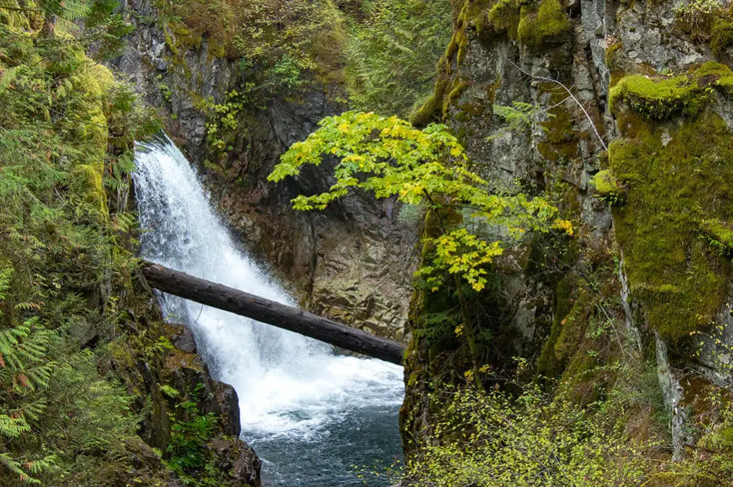 qualicum falls