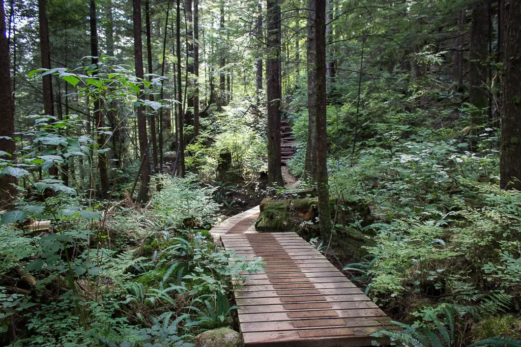 widgeon falls 9 | Widgeon Falls Hike and Canoe in Pinecone Burke Provincial Park