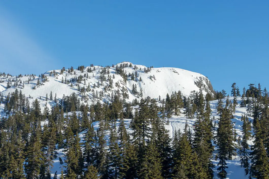 Seymour snoeshoe trail