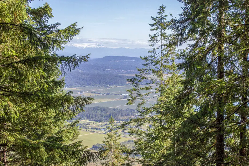 munro lake viewpoint