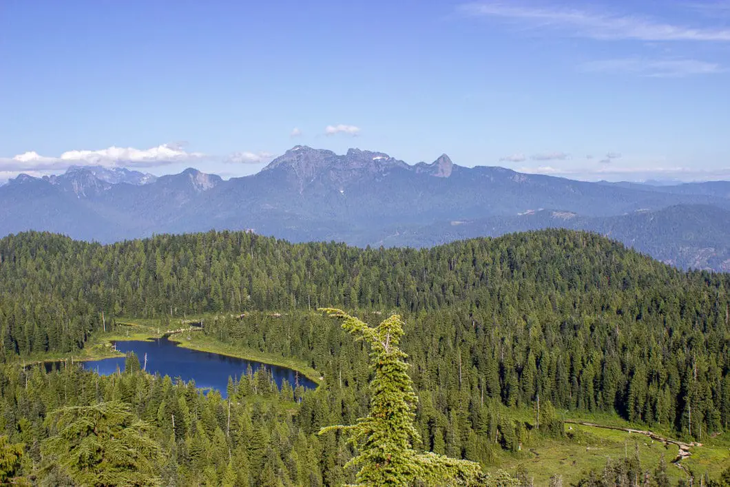 Munro Lake Lookout