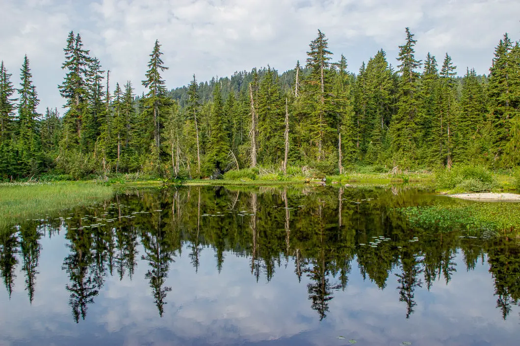 a pond