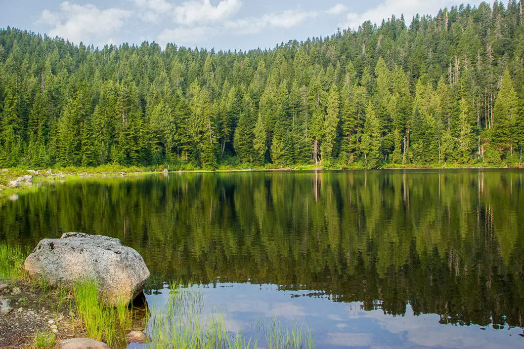 dennett lake