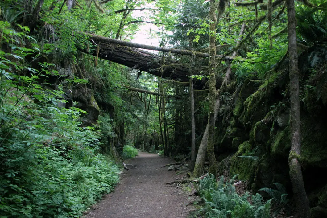 Kettle Valley Trail