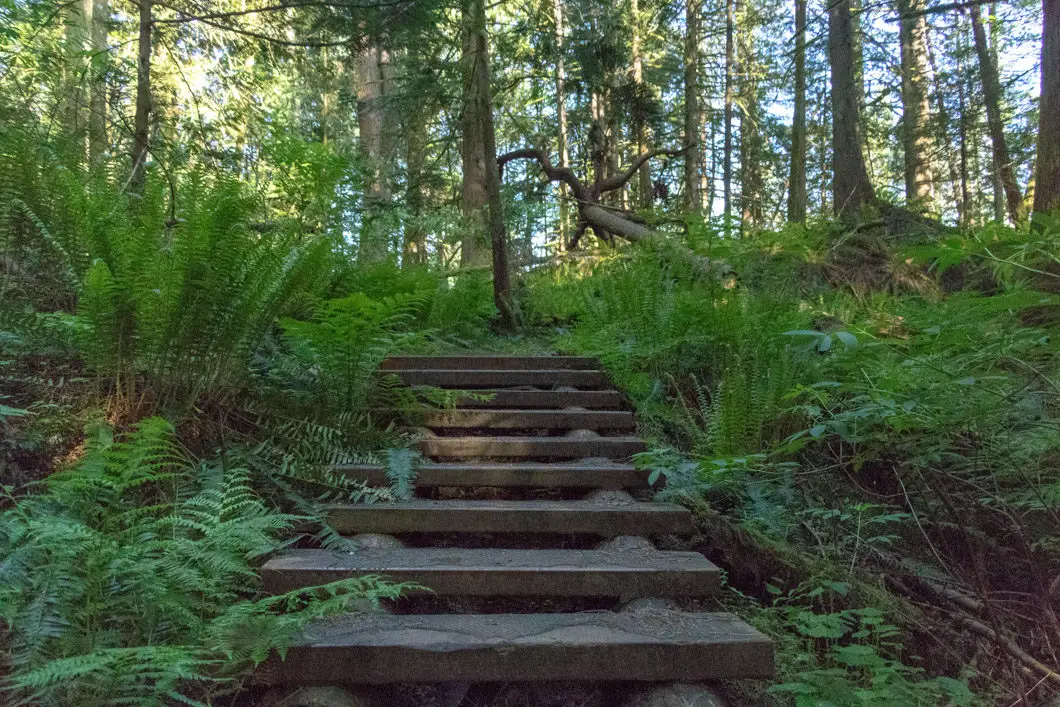 wooden stairs