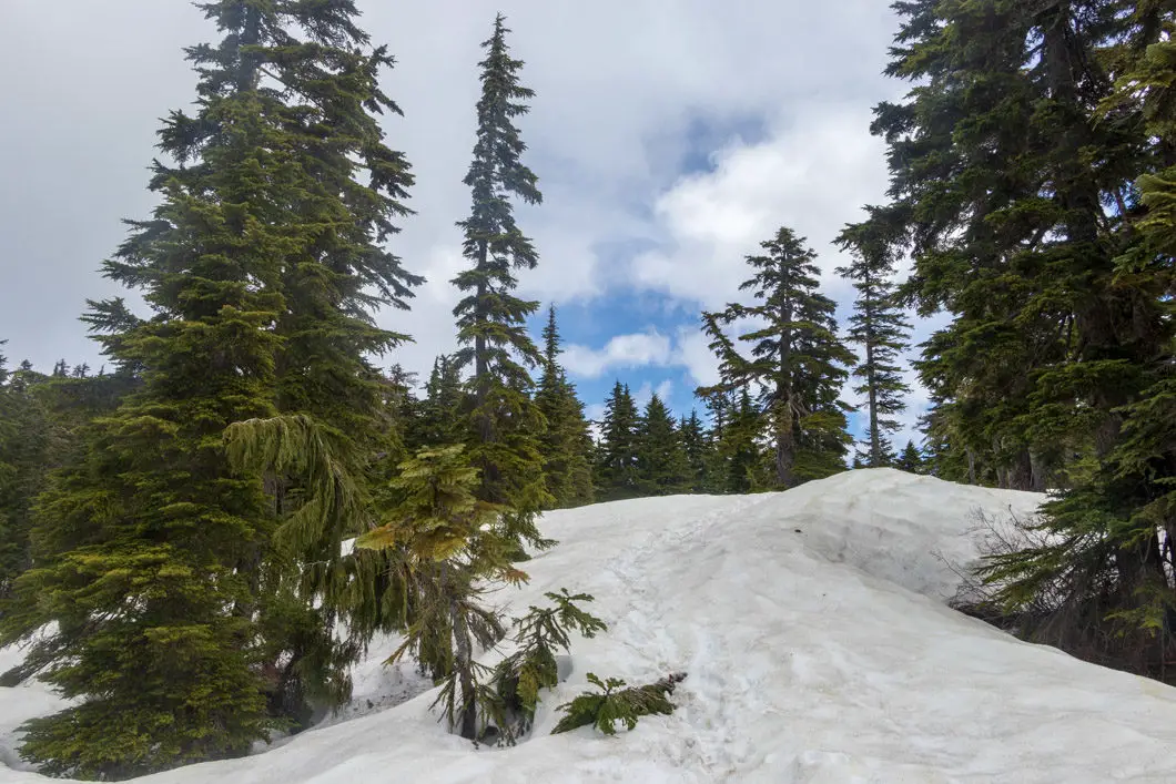 snowy trail