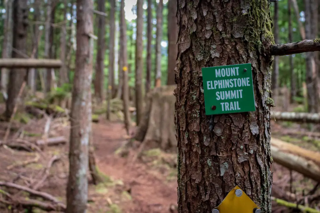 trail marker