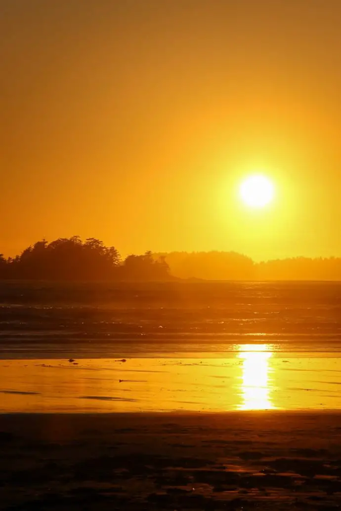 Pacific Sunset - Image 3