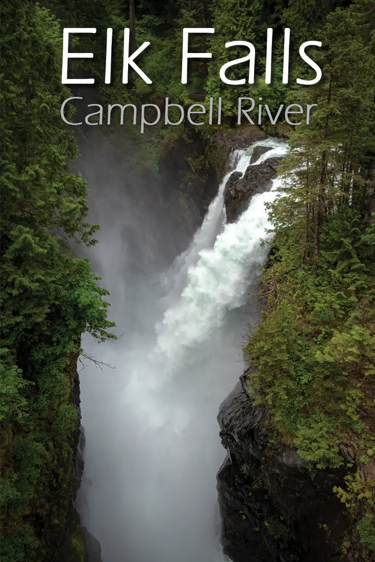 Elk Falls Hike in Campbell River 19 Elk Falls Hike in Campbell River