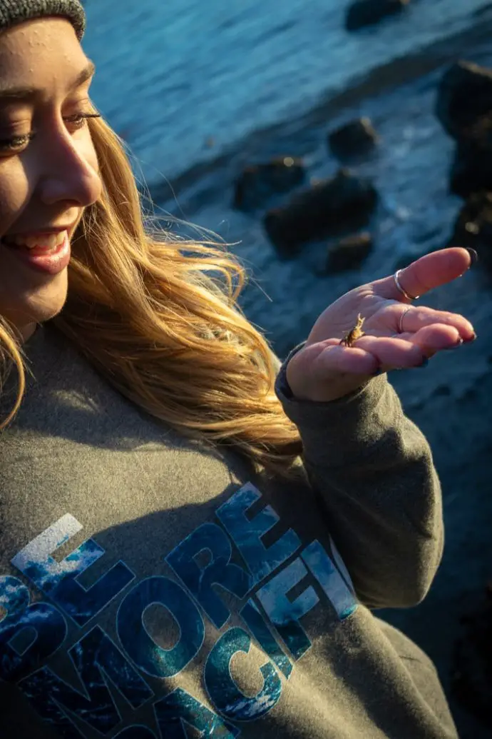 IMG 6352 | Be More Pacific - Wave Unisex Raglan Crew