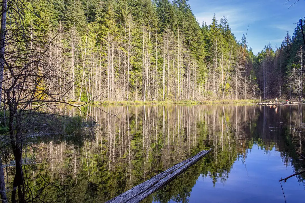 whyte lake 10 | Whyte Lake Hike in West Vancouver